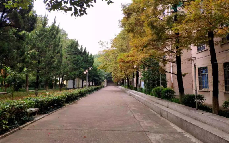 校园风光