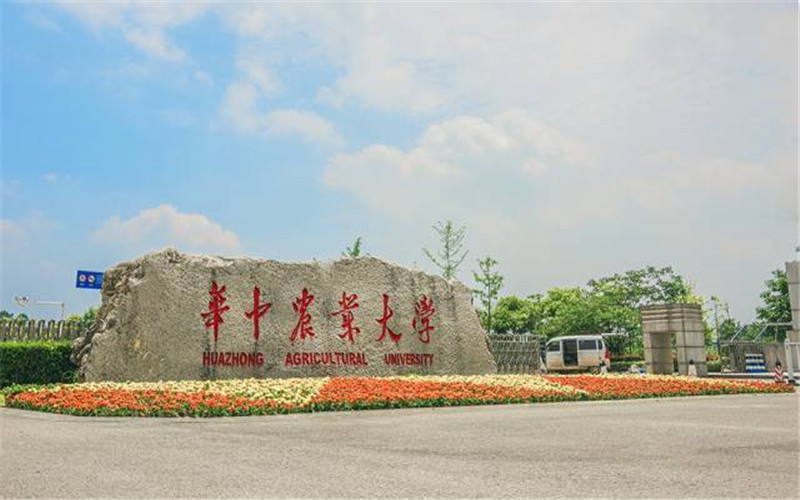 校园风光