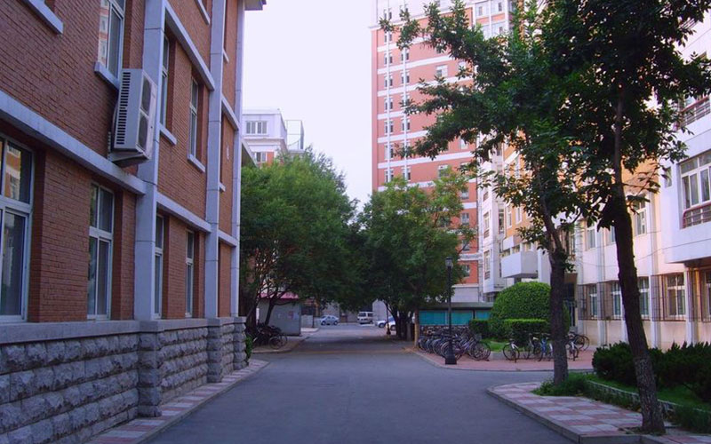 校园风光