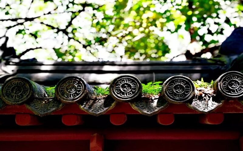 校园风光