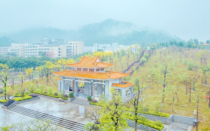 校园风光