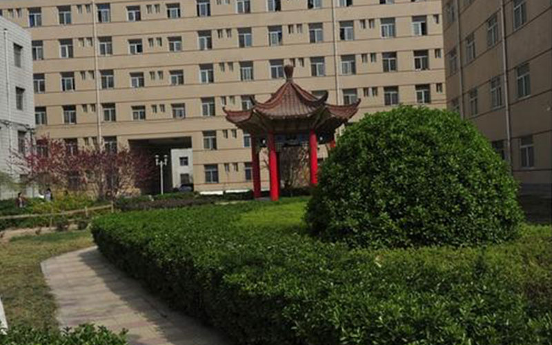 校园风光