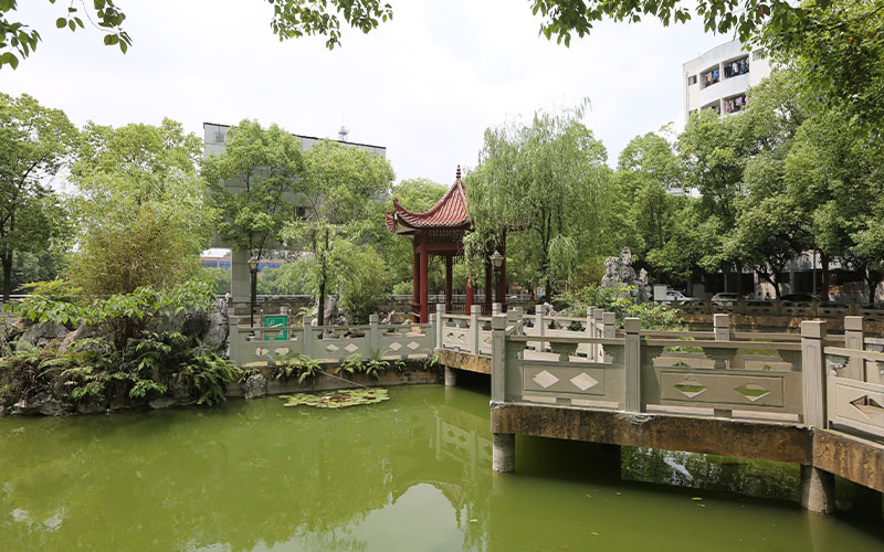 校园风光
