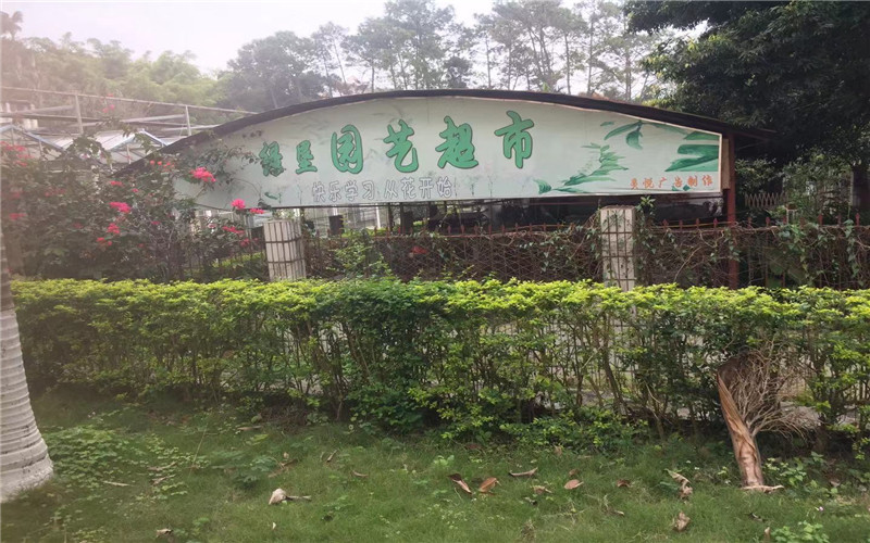 校园风光