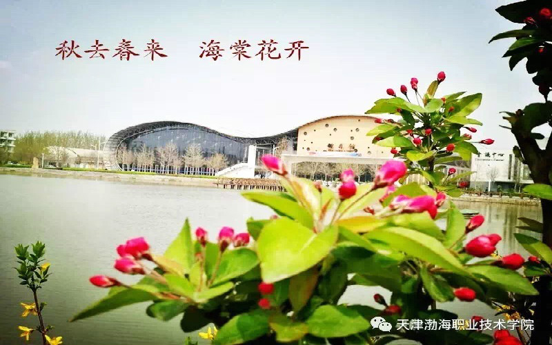 校园风光