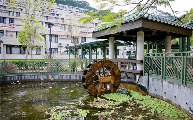 校园风光