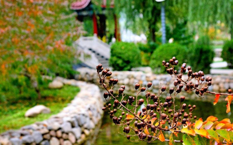 校园风光
