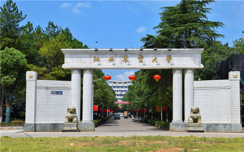 校园风光
