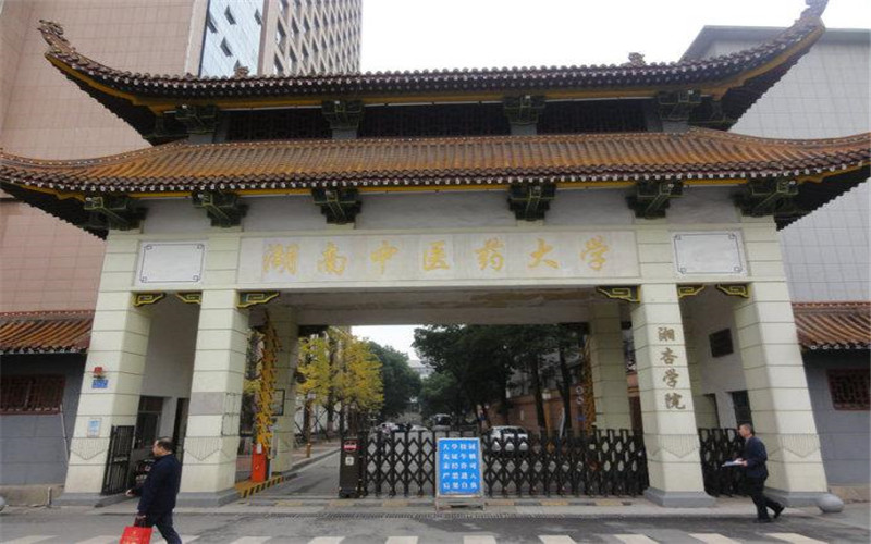 校园风光