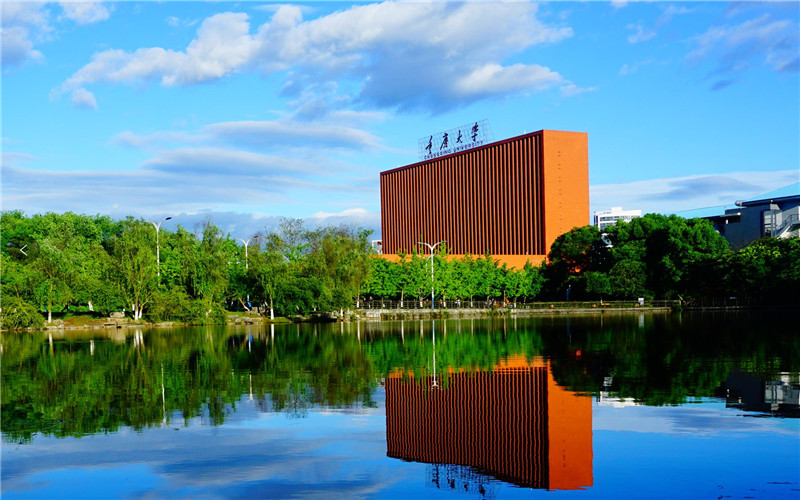 重庆大学