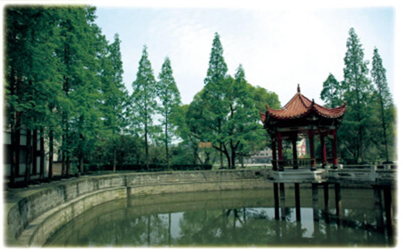 校园风光