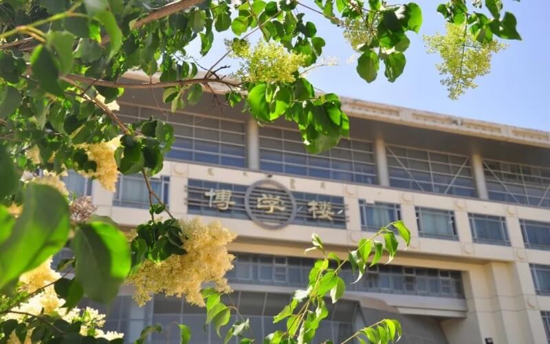 校园风光