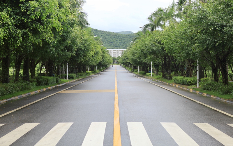 校园风光
